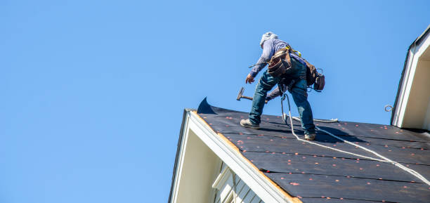 Professional Roofing Contractor in Cedar Hill, MO